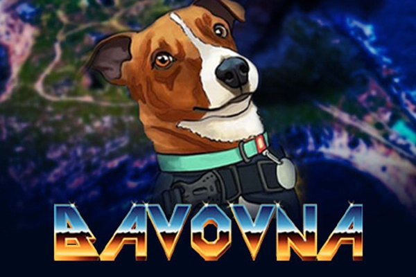 21546 bavovna